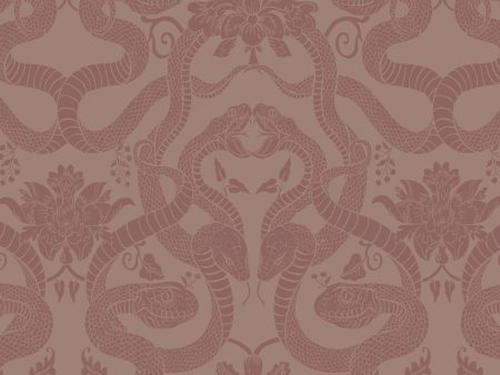 ANACONDA Traditional Wallpaper - Dusky Pink Discount