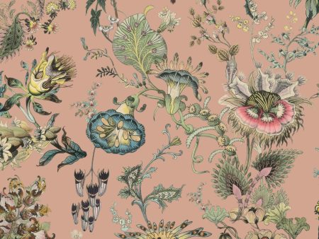 FLORA FANTASIA Wallpaper - Bisque Pink For Discount