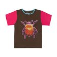 Rose Beetle Baby Online Sale